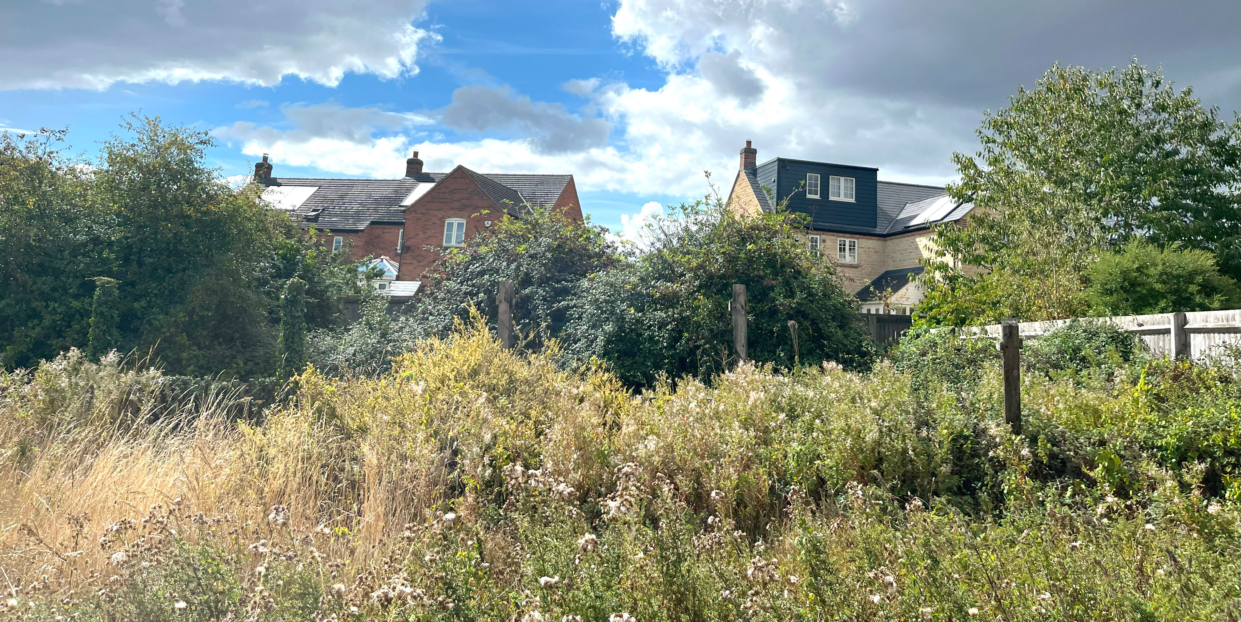 Site Image